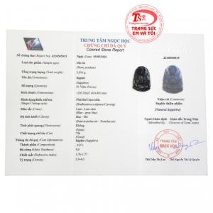 Thanh toán an toàn 